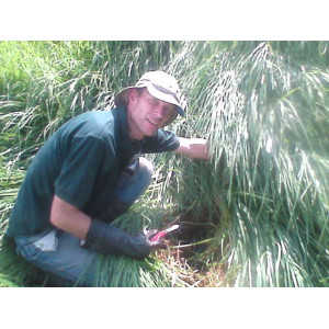 2007: Planta de captación de gas methano en Zambiza